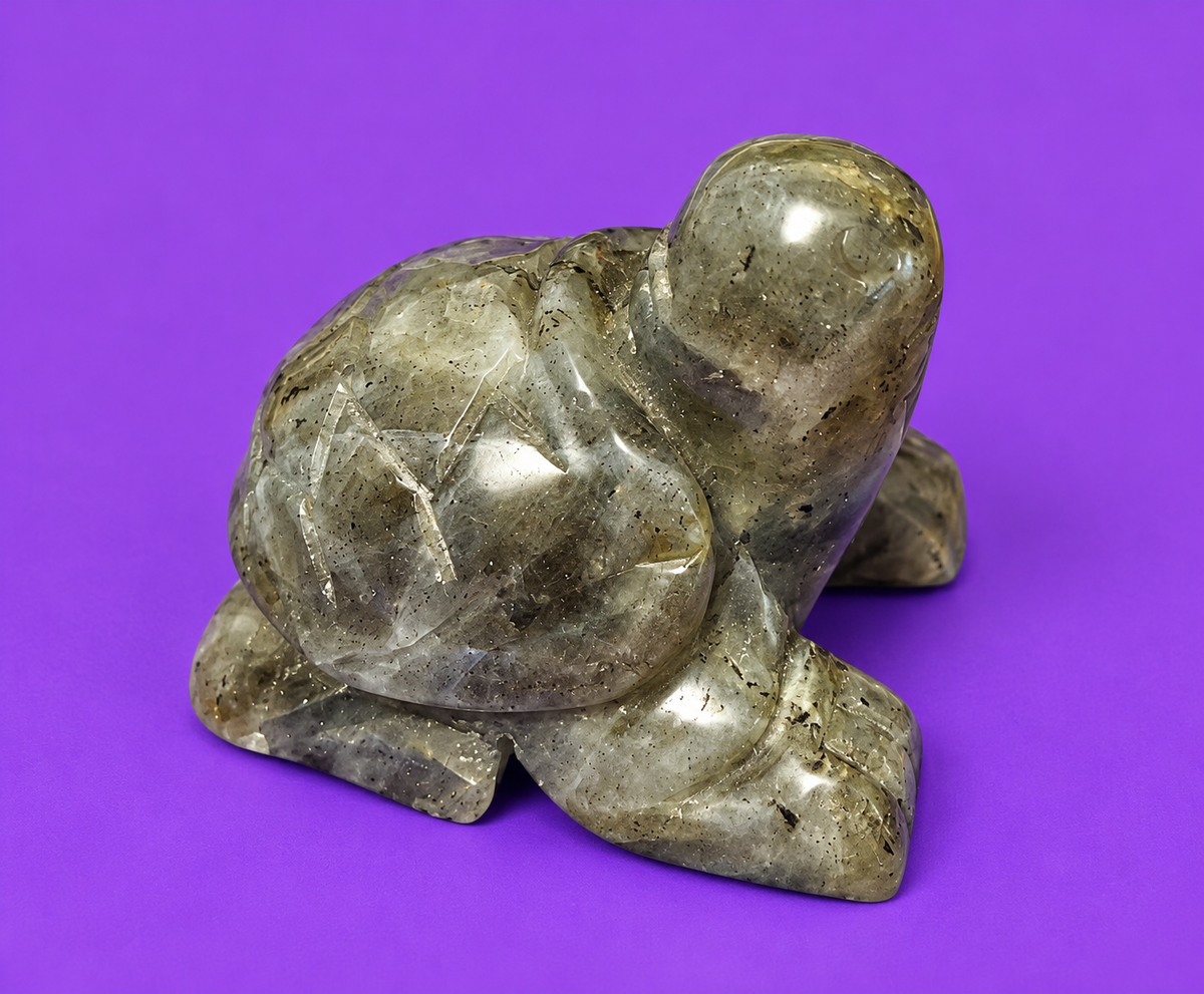 Labradorite Turtle