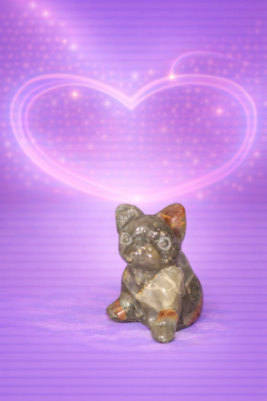 Bloodstone French bulldog