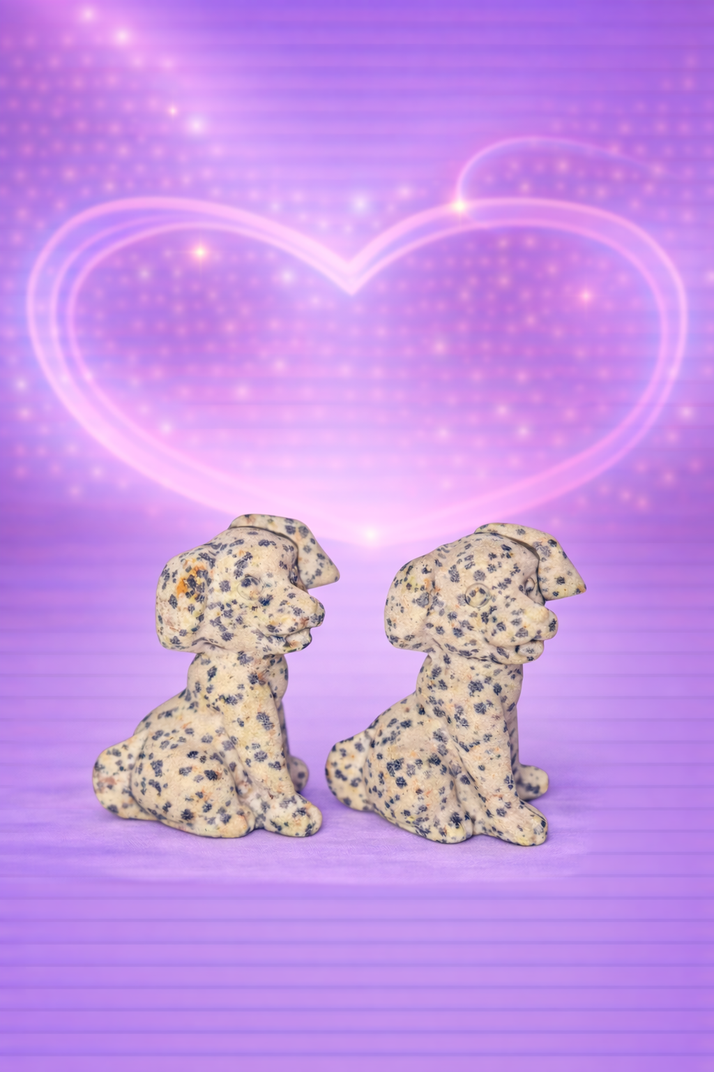 Dalmatian Jasper Dog's