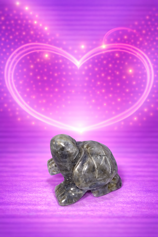 Labradorite turtle
