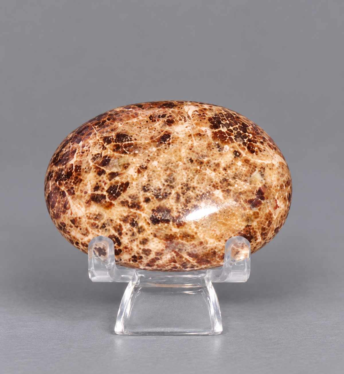 Chocolate Calcite Palm Stone