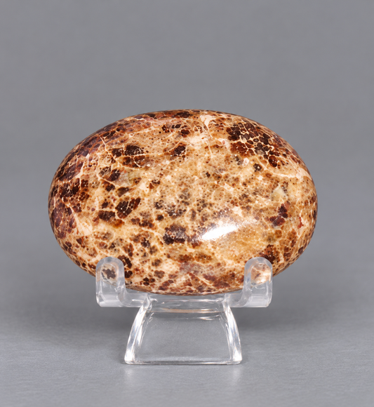 Chocolate Calcite Palm Stone