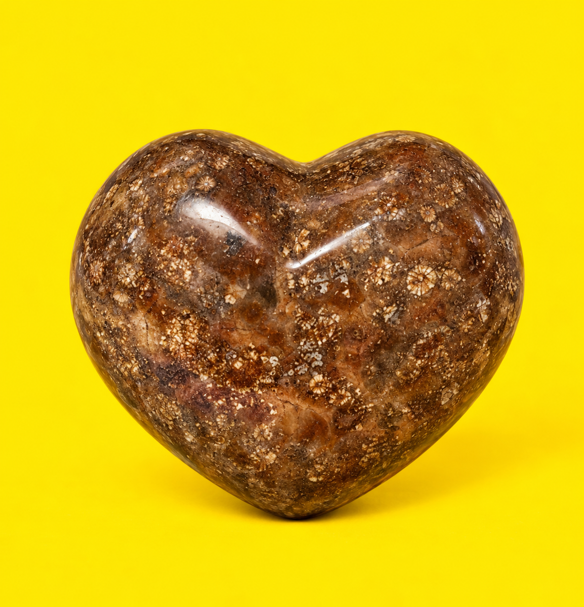 Fossil Jasper Heart