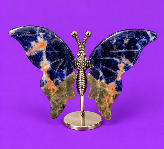 Sunset Sodalite  Butterfly
